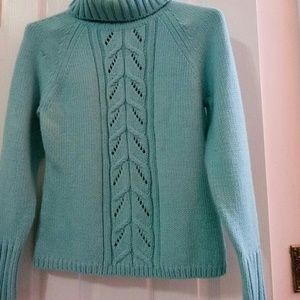 Ann Taylor Loft sweater